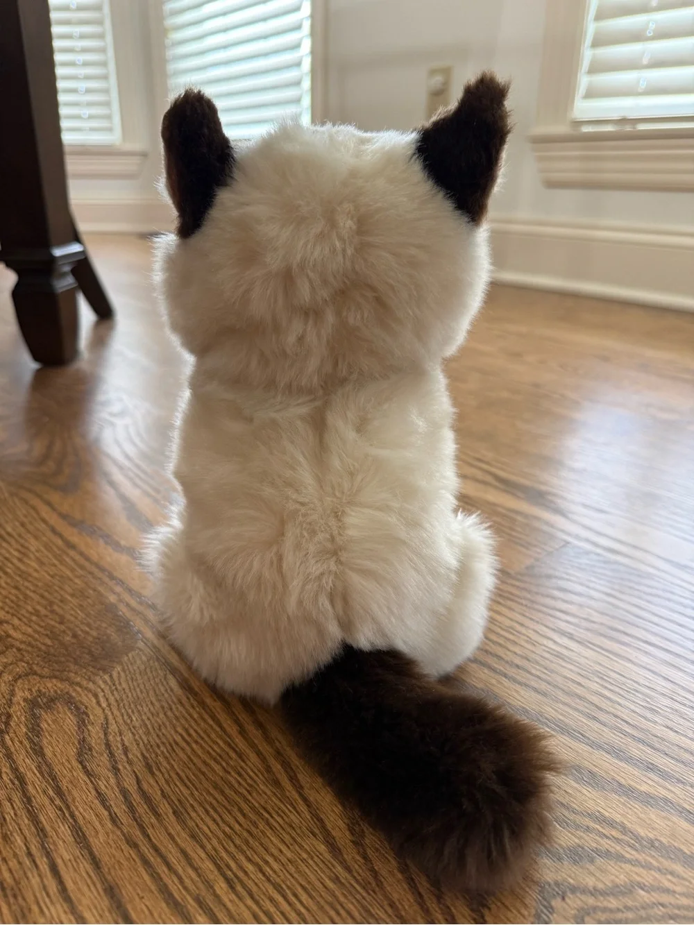 10” Plush Grumpy Cat by Gund